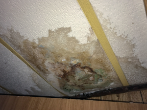 water damage minneapolis mn