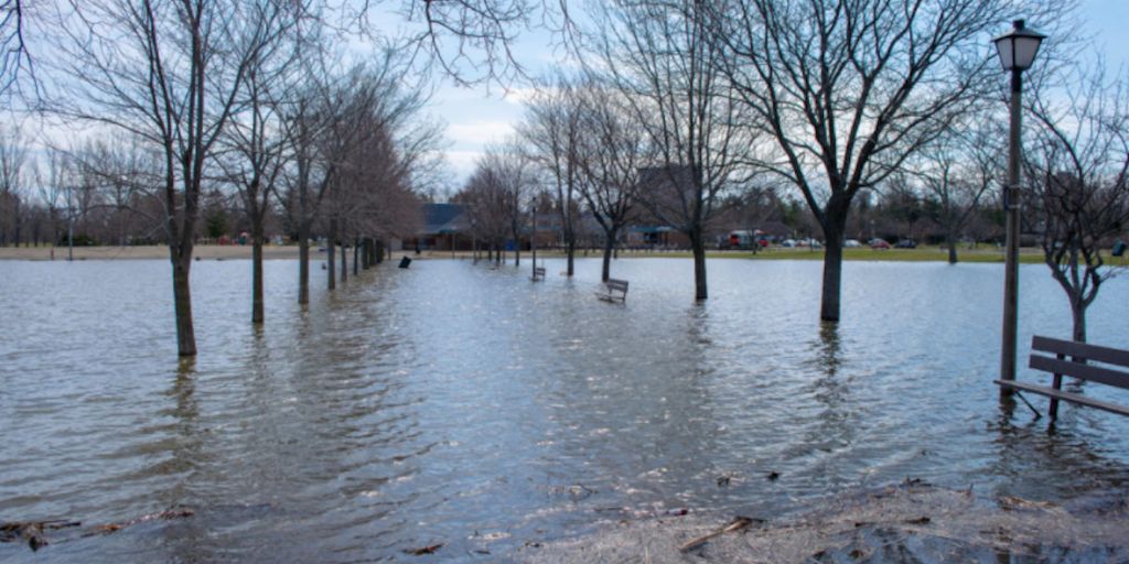 flood recovery efforts in Powderhorn, Minneapolis