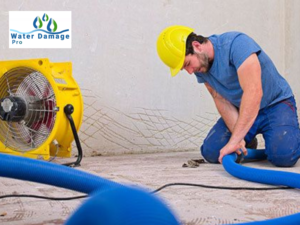 water damage restoration technician st paul